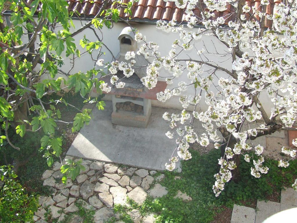 זאדאר Villa Dalmatia מראה חיצוני תמונה